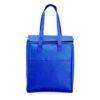 Bolsa Térmica 9 Litros - Image 3