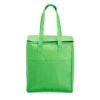 Bolsa Térmica 9 Litros - Image 6